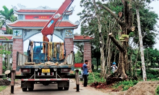 Làng tỷ phú cây cảnh Vạn Thạch (Hiệp Hòa) 